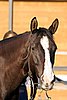 IMG_1510web.jpg