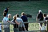 Hos_0593n.jpg