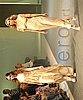 PFW_3471c.jpg