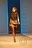 PFW_1512c.jpg
