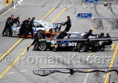 DTM_0389upw.jpg