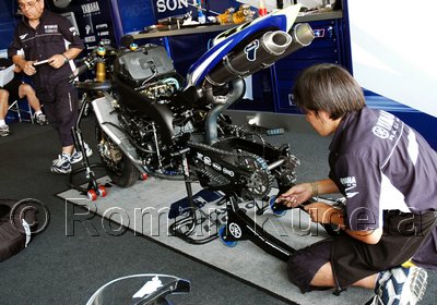 SPB_0427upw.jpg