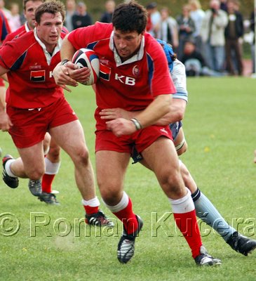 Waratahs_371upw.jpg