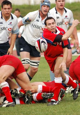 Waratahs_434upw.jpg