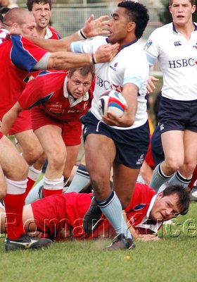 Waratahs_437upw.jpg