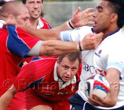 Waratahs_437upw2.jpg