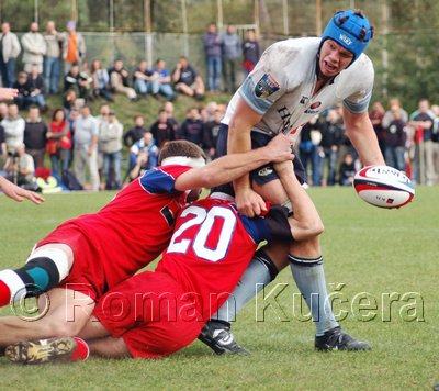 Waratahs_440upw.jpg