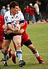 Waratahs_218upw.jpg