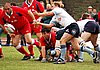 Waratahs_319upw.jpg