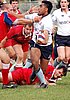 Waratahs_437upw.jpg