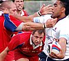 Waratahs_437upw2.jpg