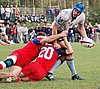 Waratahs_440upw.jpg