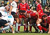 Waratahs_472upw.jpg
