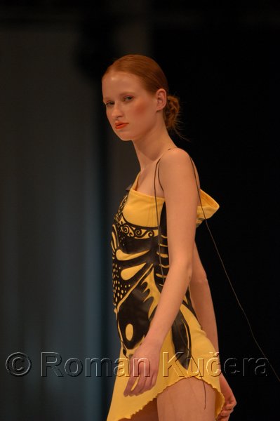 Styl05_1326_R.JPG
